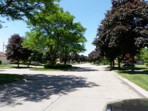 Street Views of Windridge Village Livonia Michigan